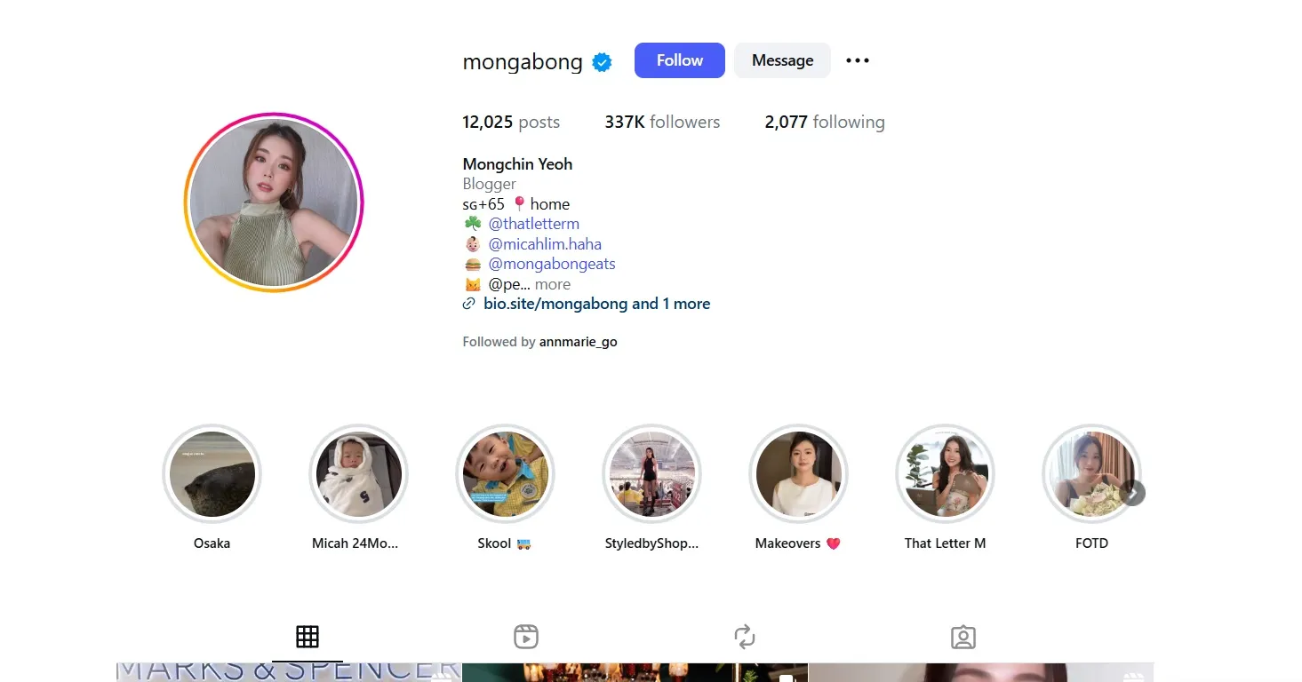 Top 24 Instagram Influencers In Singapore 2026 15 mongchin yeoh as one of the top instagram influencers