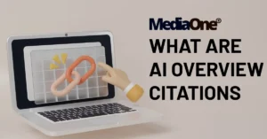 What Are AI Overview Citations