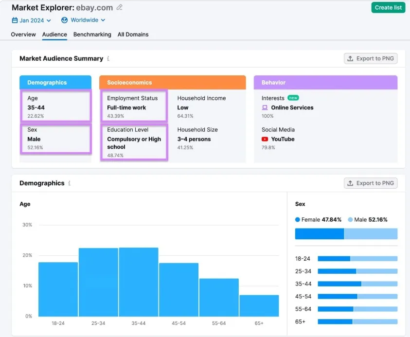 audience analysis for SEM strategy