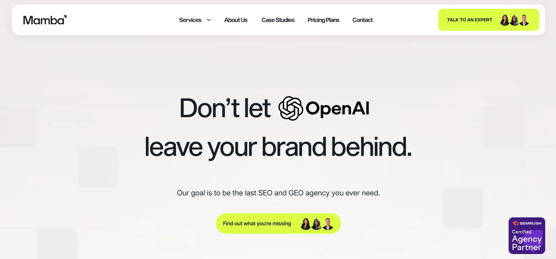 mamba as one of the top shopify seo companies