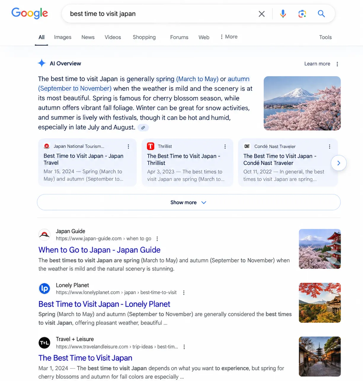 Understanding AI Overviews: What They Are and Why Google Created Them 2 ai overview and how it appears on SERPs by mediaone